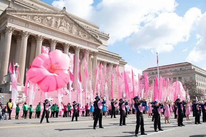Festivals and Celebrations: Embracing the Joy of Life