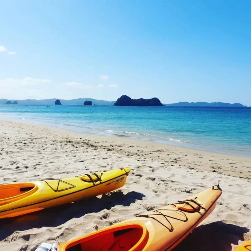 Chèo thuyền kayak và khám phá vịnh biển