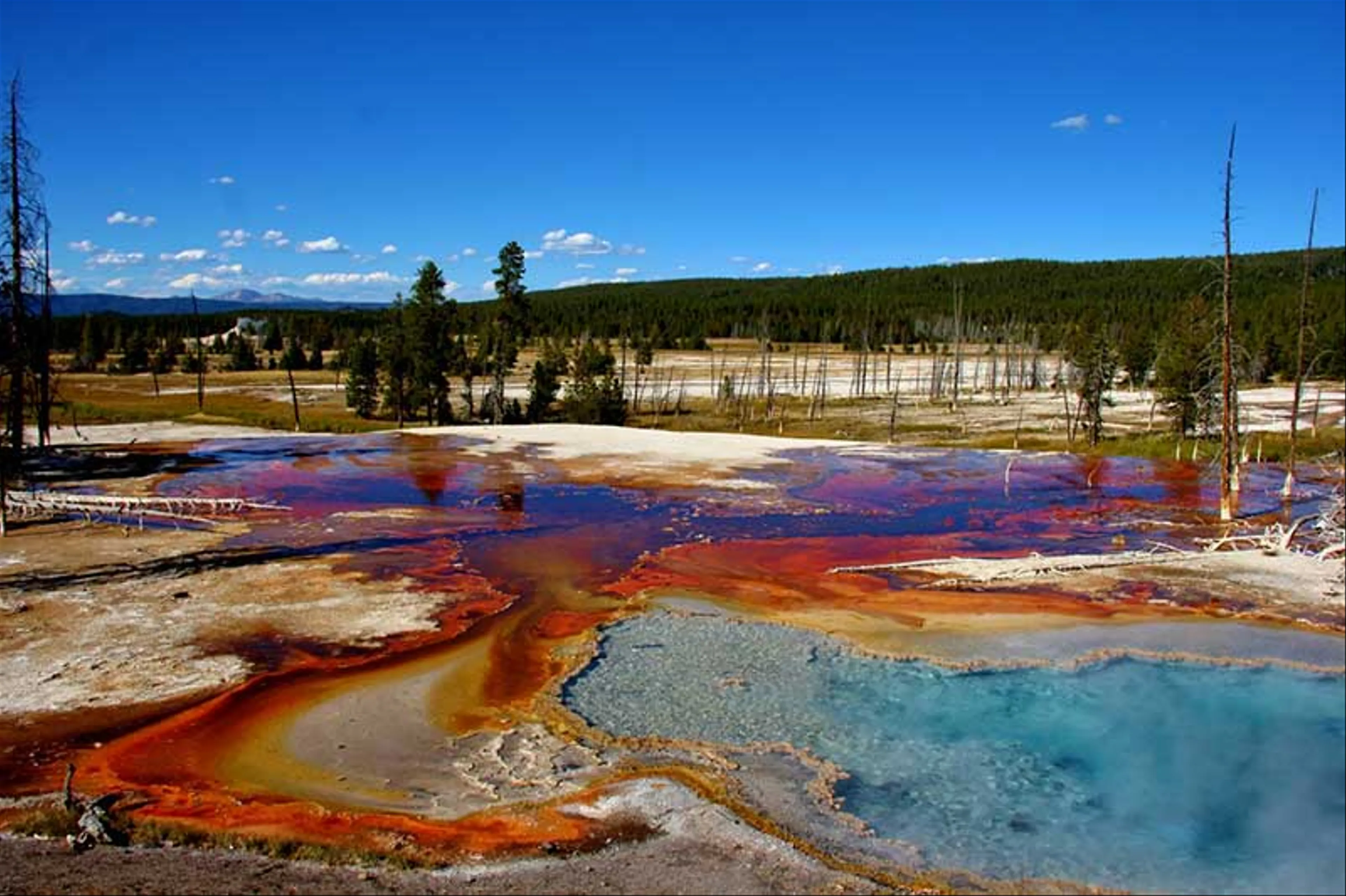 10 Điều Thú Vị Tại Công Viên Quốc Gia Yellowstone Bạn Không Nên Bỏ Lỡ