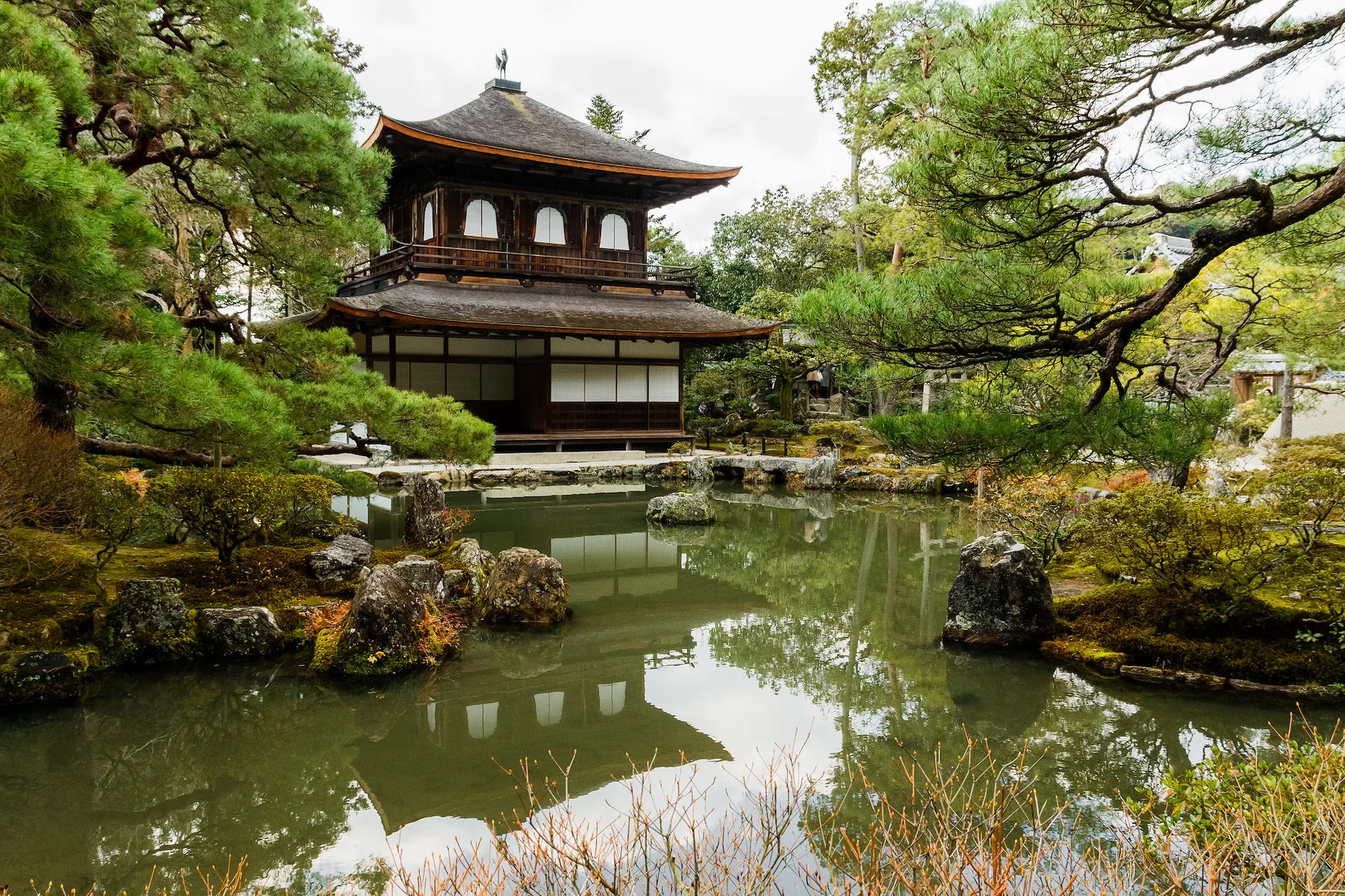 Nearby Attractions: Temples and Tea Houses