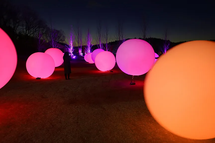 Exploring Outdoor Art Installations