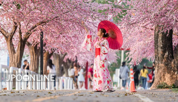Hoạt động thú vị tại vườn hoa anh đào