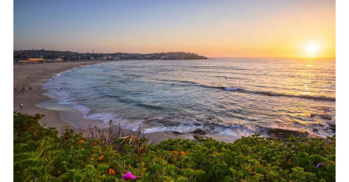 Bãi biển Bondi