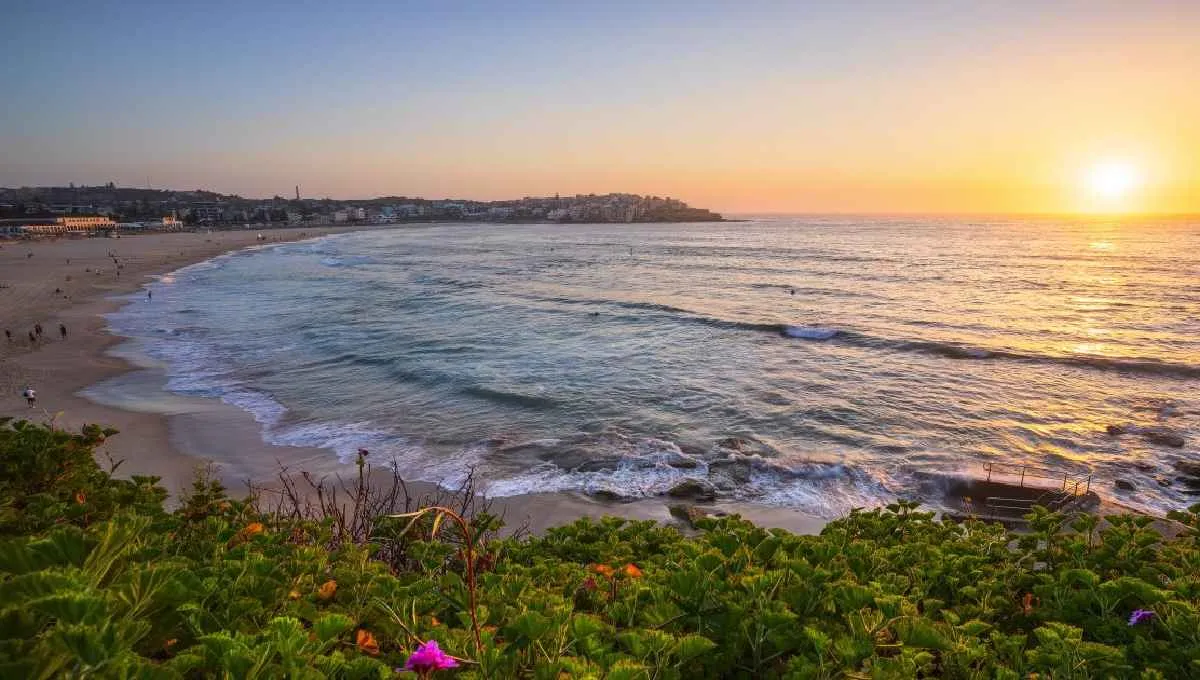 Giới thiệu về Bondi Beach