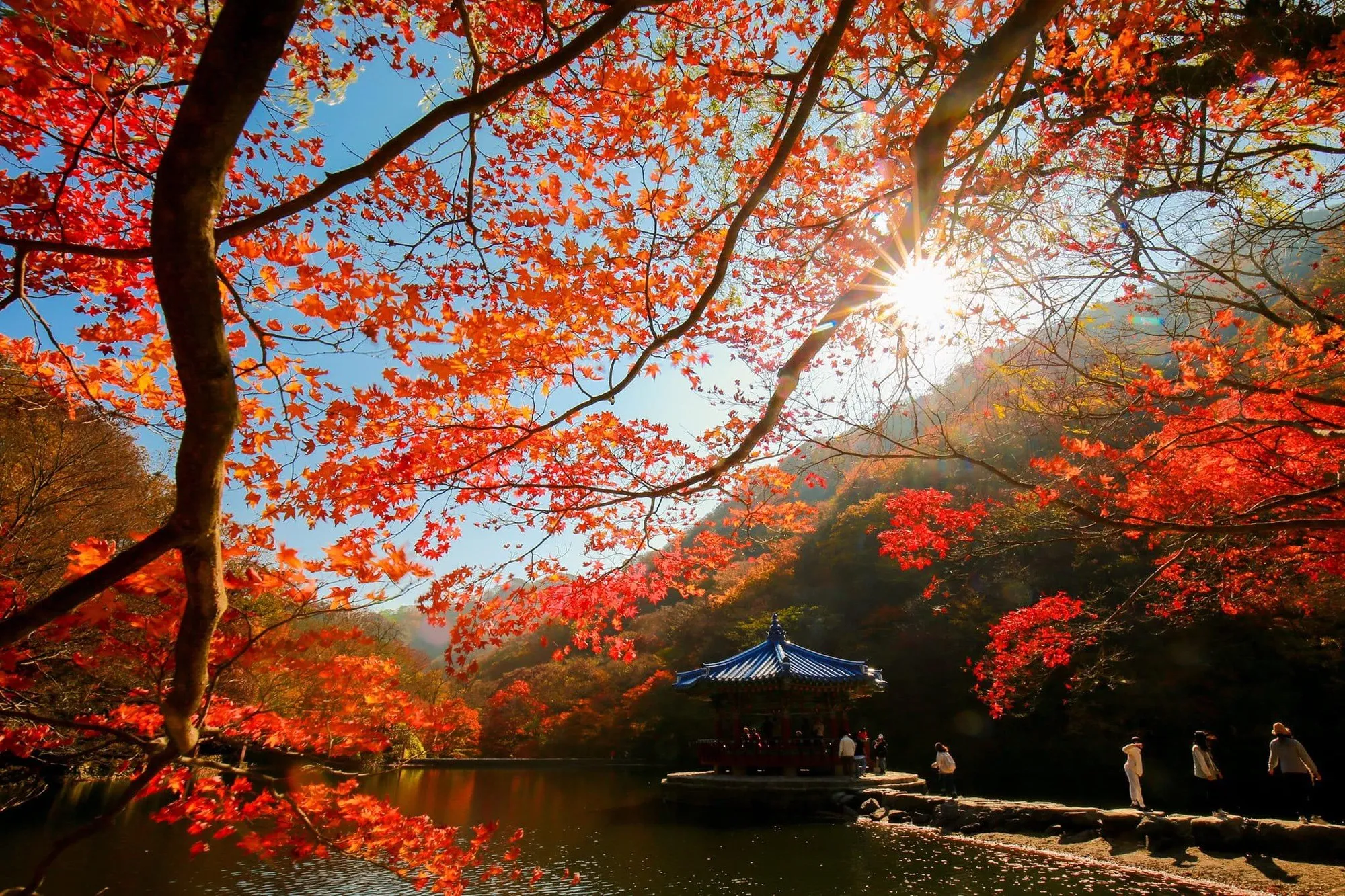 Cảnh quan thiên nhiên mùa thu ở Gyeongju