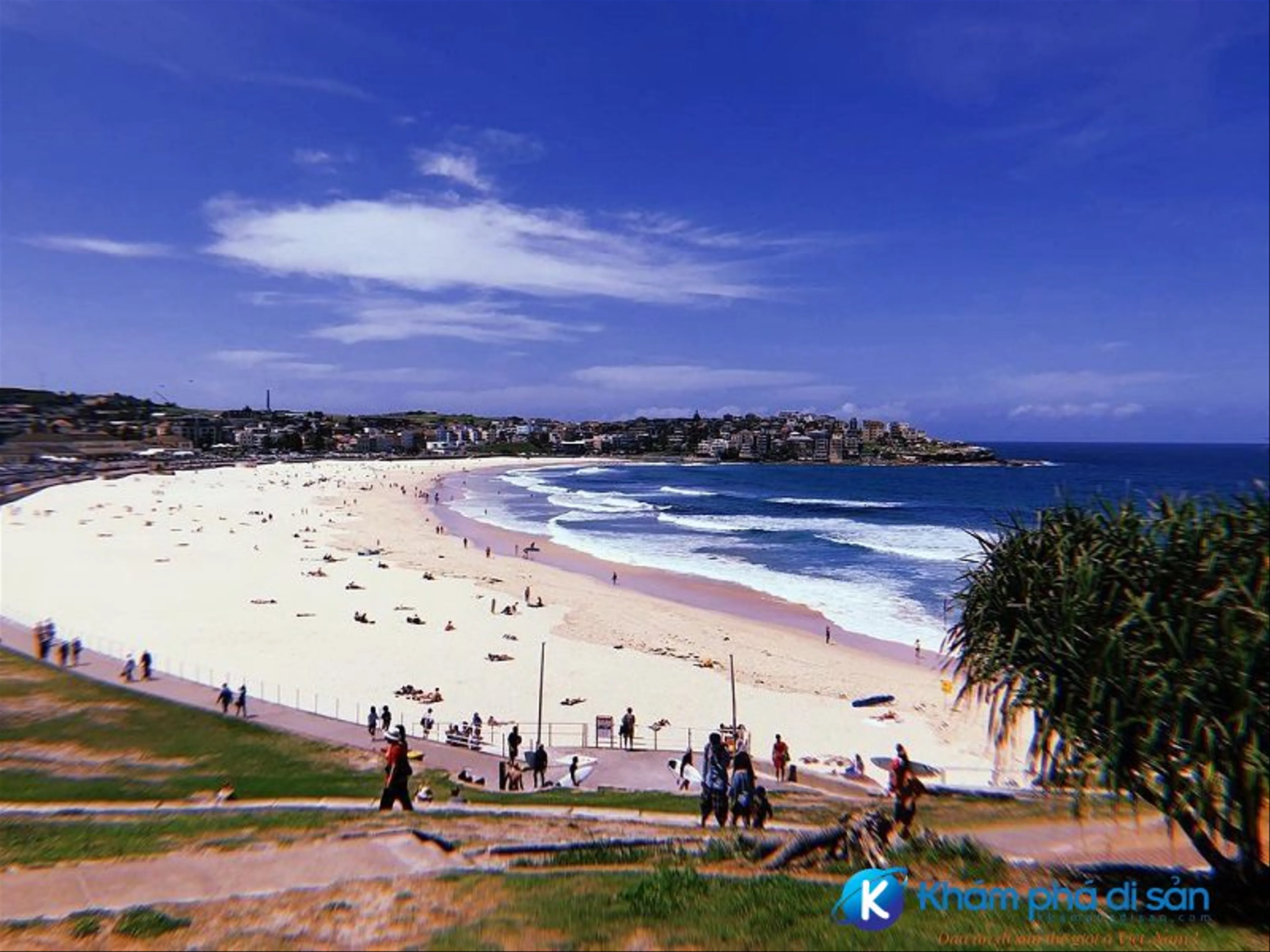 Khám phá Bondi Beach: Bí quyết tận hưởng ngày hè tại bãi biển biểu tượng Sydney