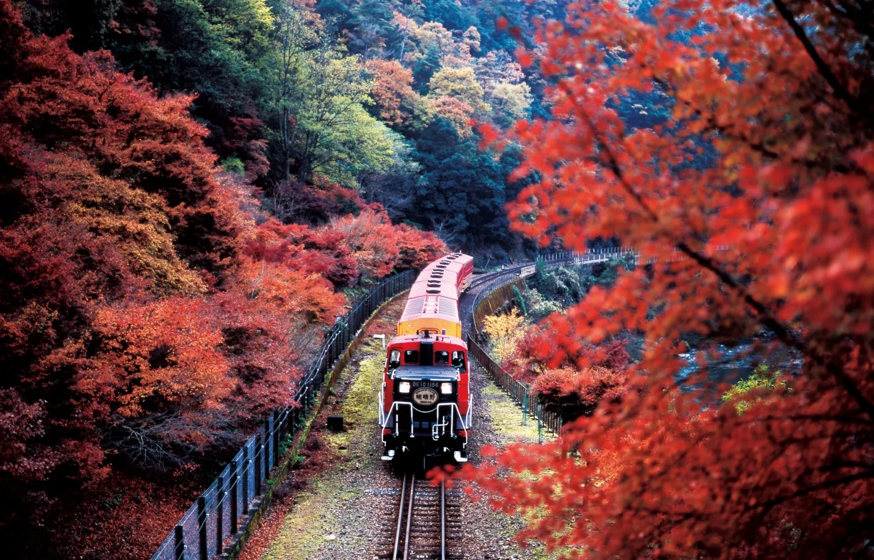 Discovering the Quaint Sagano Romantic Train