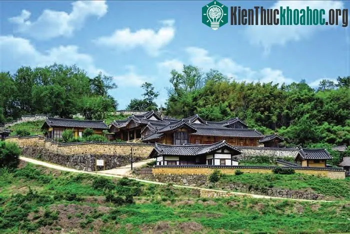 Lịch Sử Hình Thành và Phát Triển của Làng Hahoe