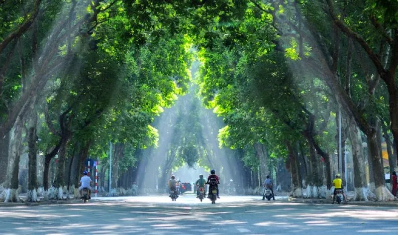 Không gian và không khí đặc trưng