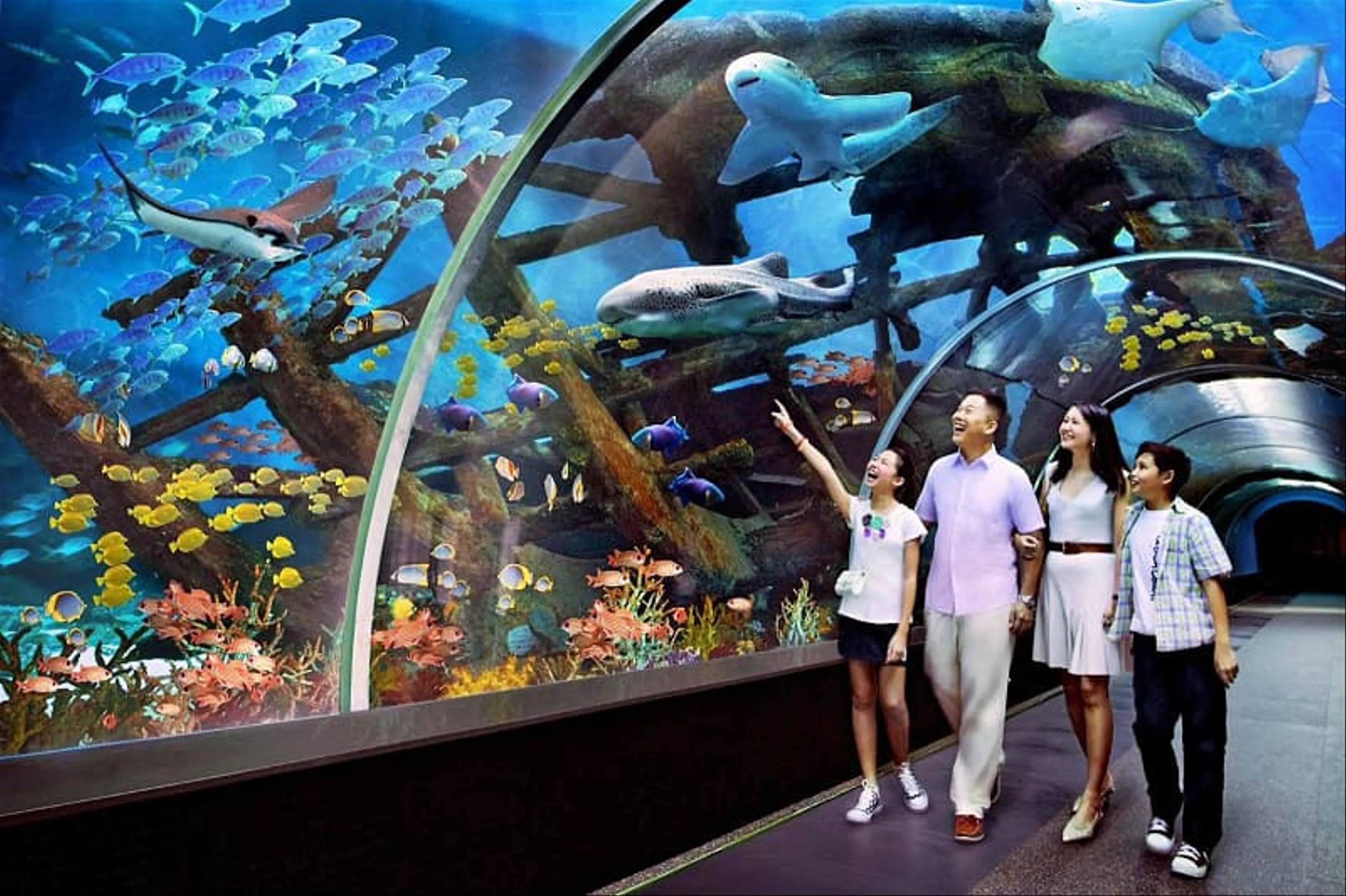 Khám Phá Thủy Cung Trí Nguyên: Thế Giới Đại Dương Sống Động Giữa Lòng Nha Trang