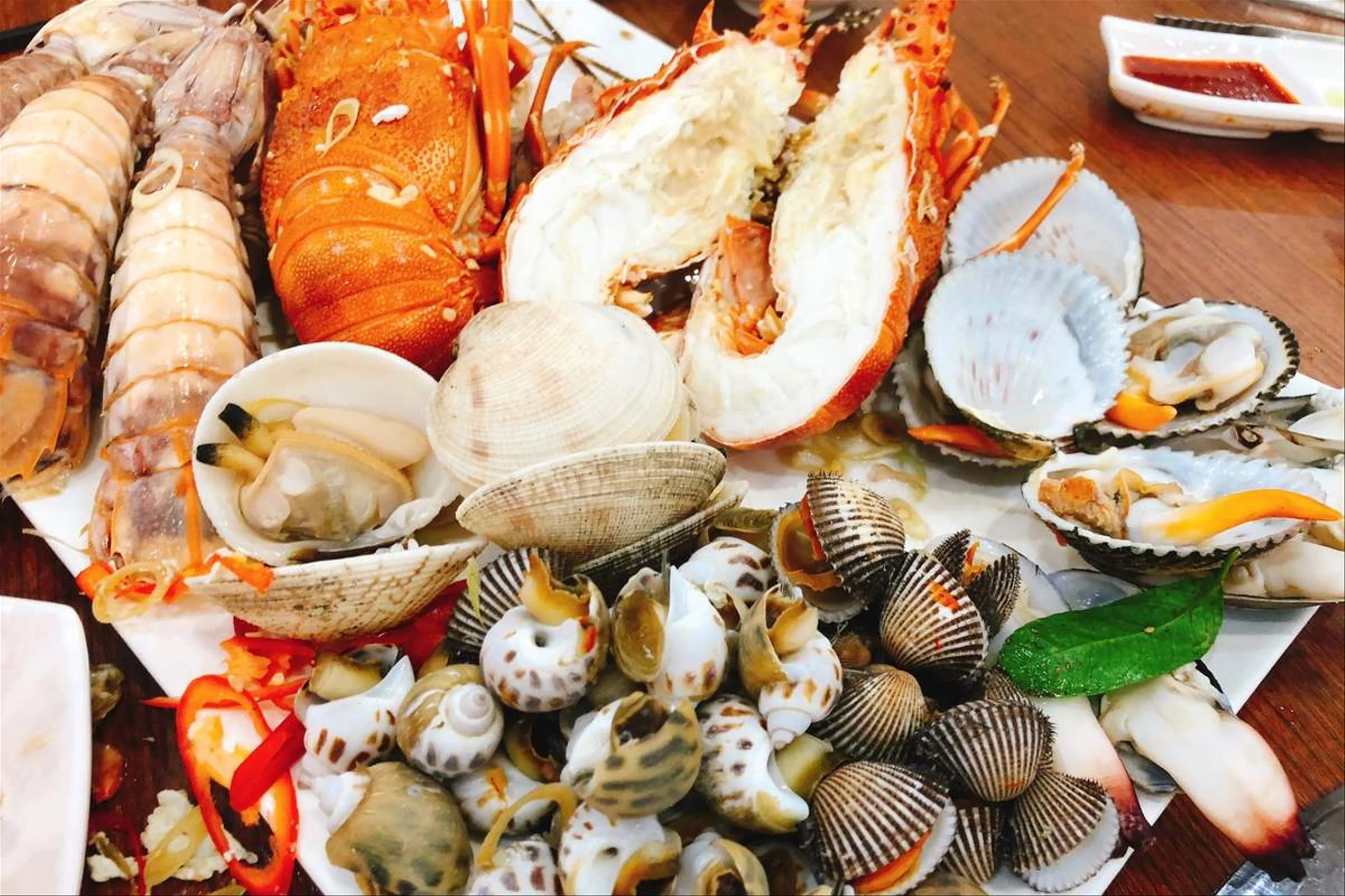 Khám Phá Vẻ Đẹp Thực Vật Ngầm Tại Vịnh San Hô Nha Trang