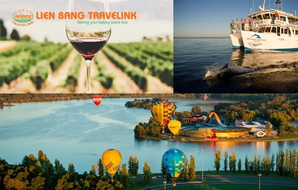 Hoạt động giải trí và trải nghiệm không thể bỏ lỡ