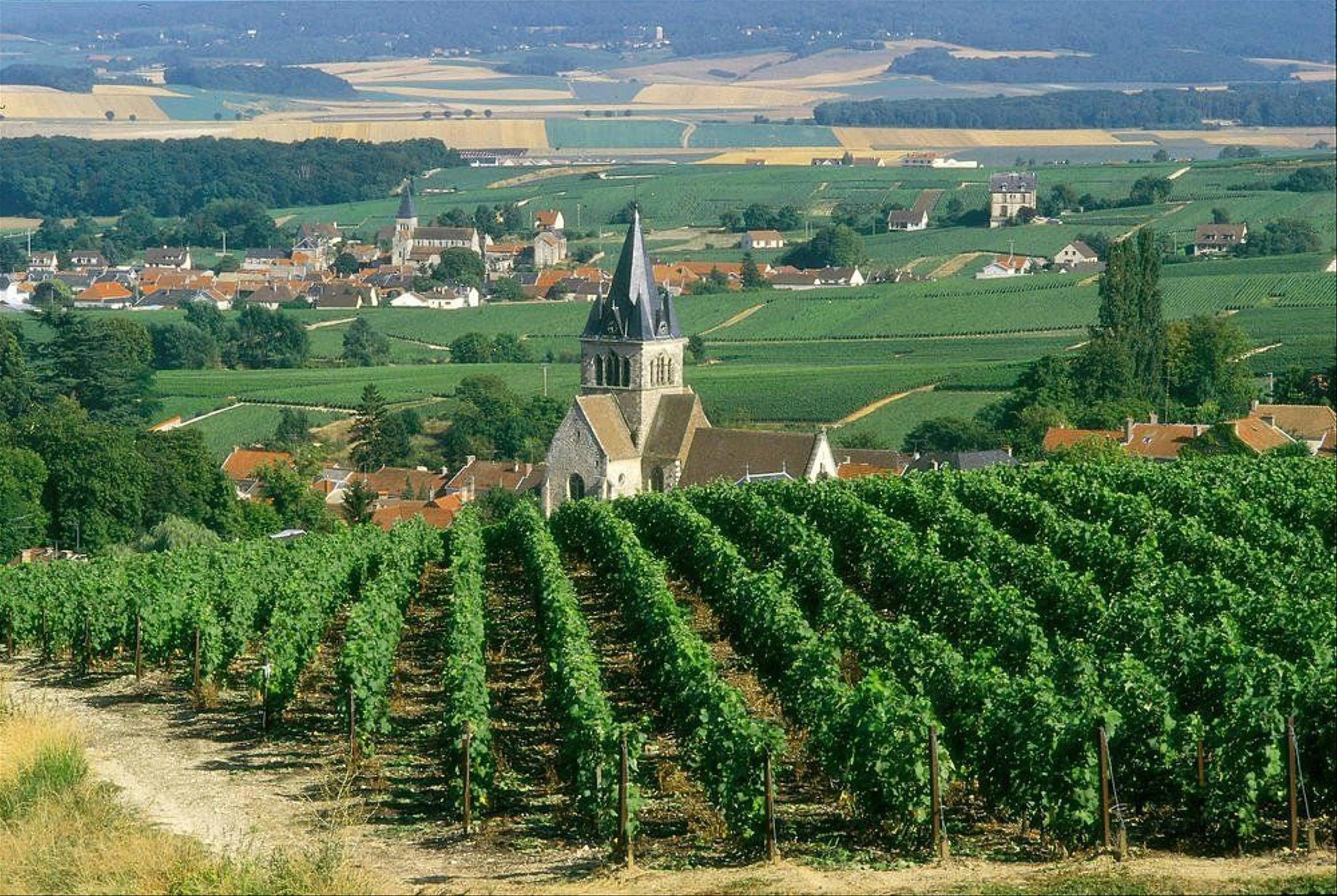 Sipping Champagne in Reims: A Journey Through France's Fabled Vineyards