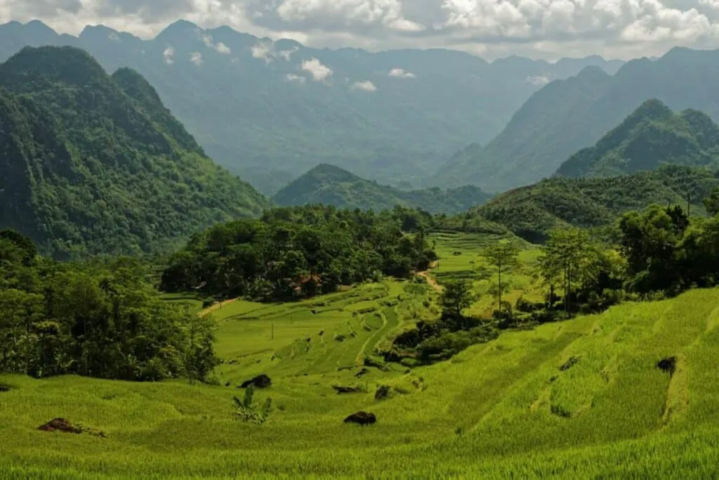 The Allure of Pu Luong Nature Reserve