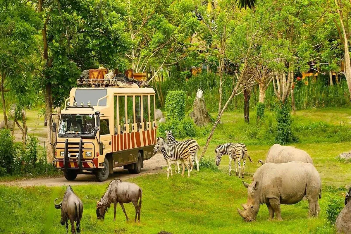 Tham quan thế giới động vật tại Vinpearl Safari