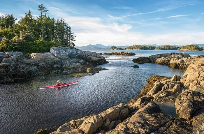 Trải nghiệm ngắm cá voi tại Tadoussac