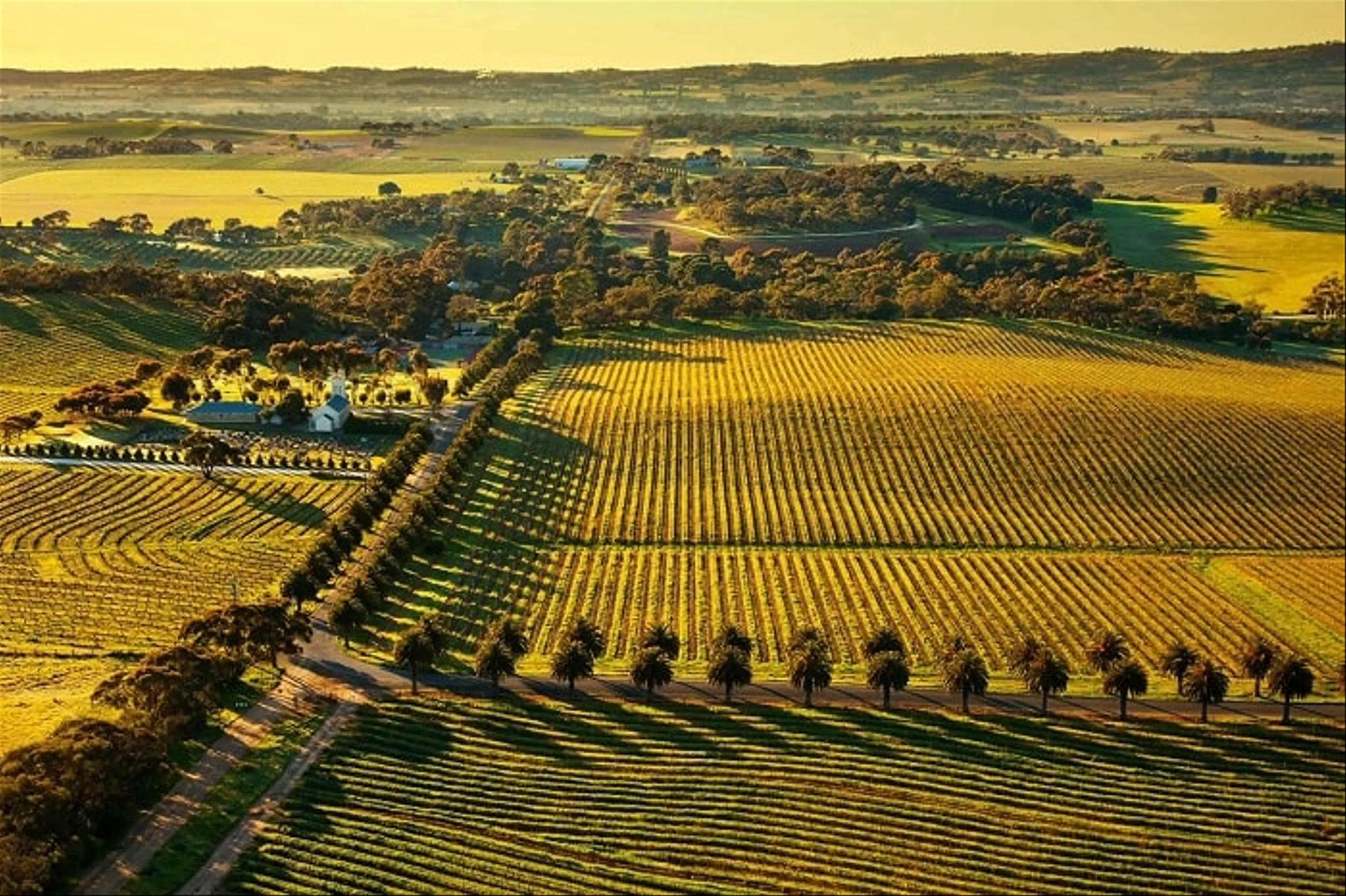 Thưởng Thức Hương Vị Rượu Nho Tại Thung Lũng Barossa ở Nam Úc