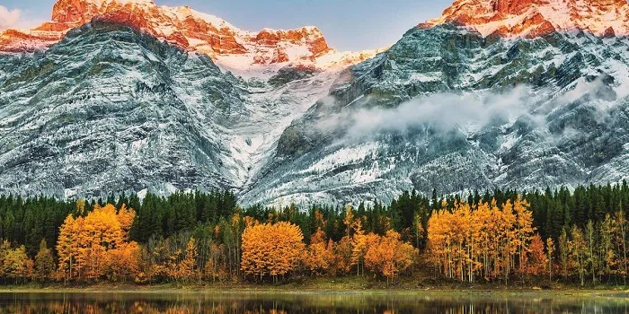 Giới thiệu về rừng phong Canada