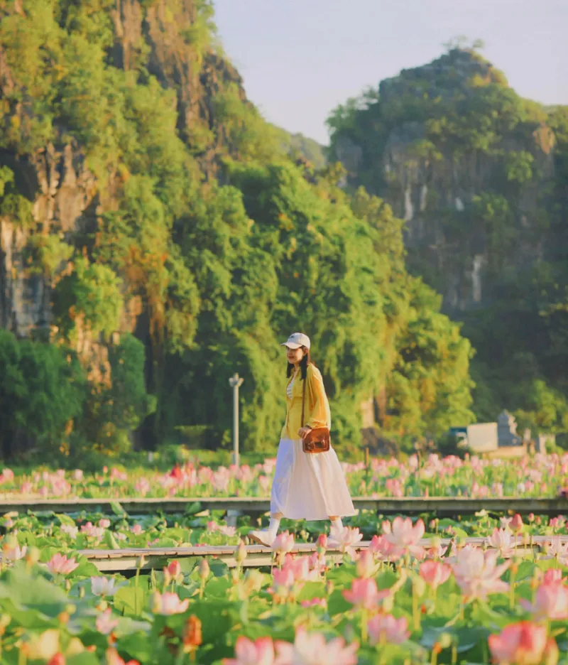Hướng dẫn di chuyển đến Ninh Bình
