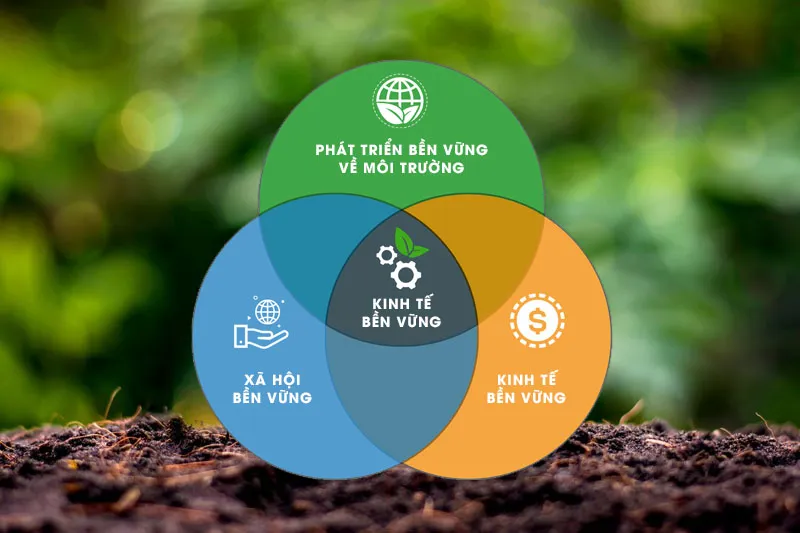 Bảo Tồn Và Phát Triển Bền Vững