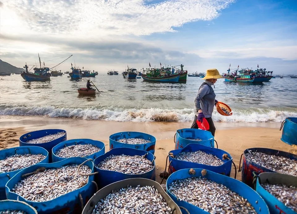 Lịch sử và văn hóa làng chài