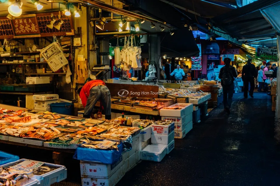 Trải Nghiệm Mua Sắm Tại Chợ Cá Tsukiji