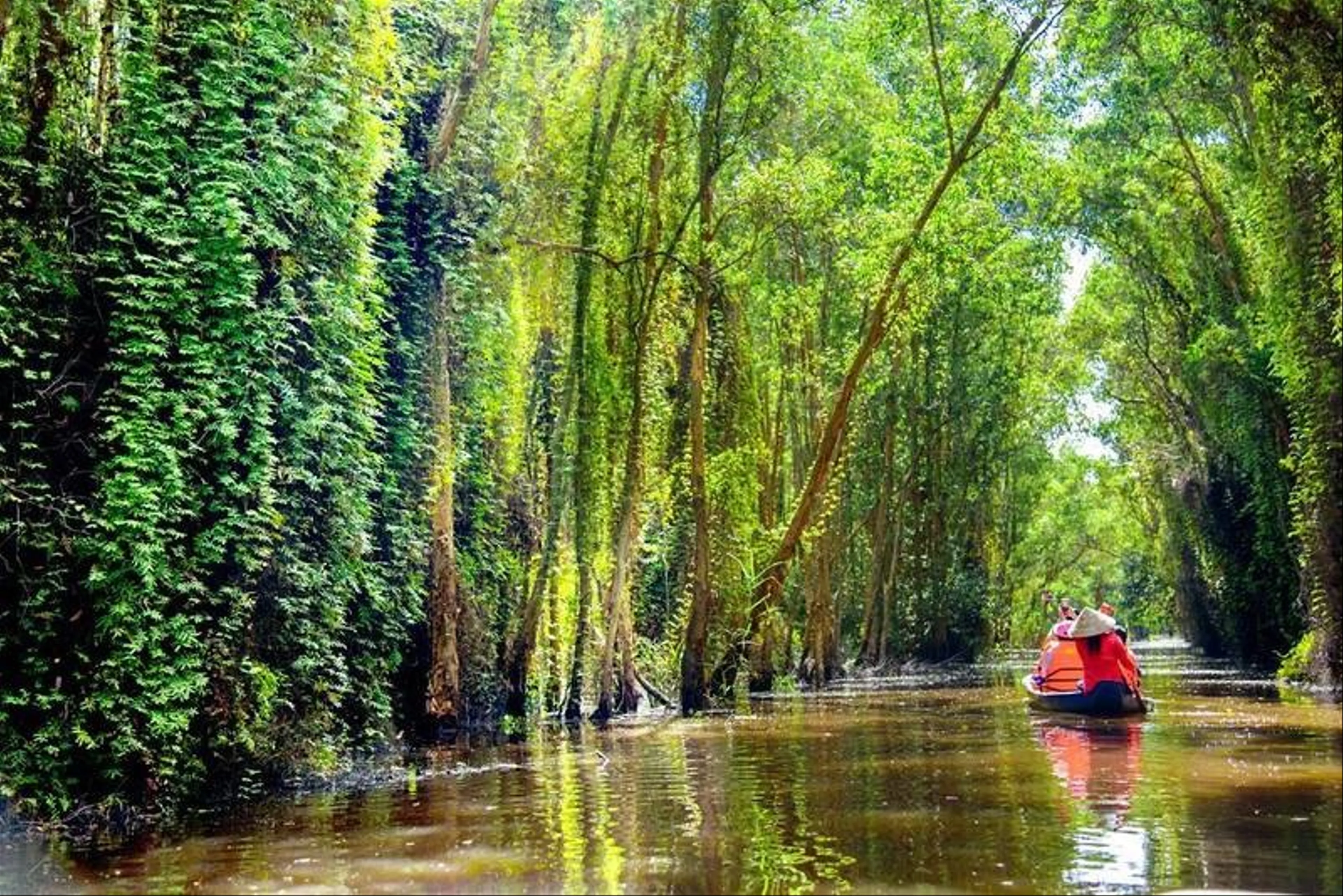 Đi bộ xuyên rừng trúc Anji: Khám phá thiên nhiên tuyệt đẹp ở Chiết Giang