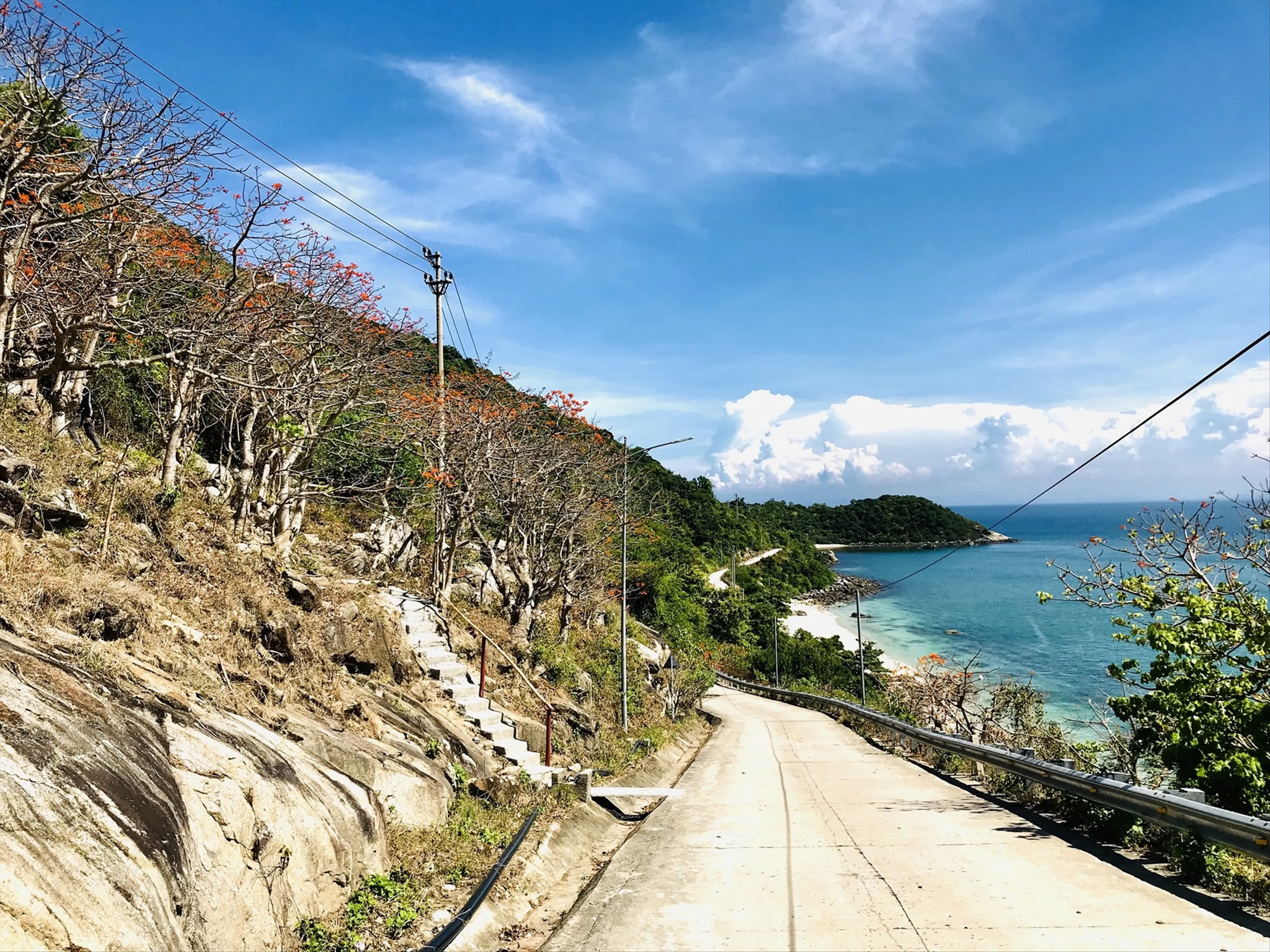 Khám Phá Vẻ Đẹp Hoang Sơ Của Đảo Rottnest: Thiên Đường Gần Bờ Tây Úc