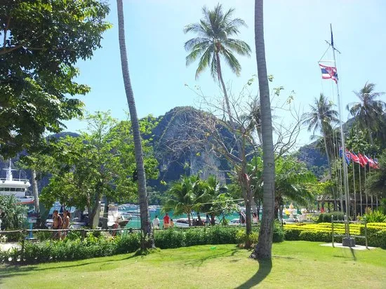 Ao ton sai beach - Ảnh của Ao Ton Sai, Ko Phi Phi Don - Tripadvisor