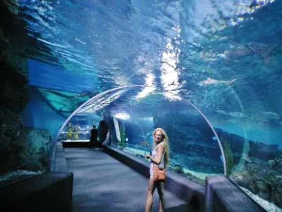 SEA WORLD - Ảnh về SEA LIFE Bangkok Ocean World - Tripadvisor