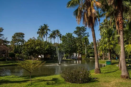 Nong Buak Haad Park. - Ảnh của Buak Hard Public Park, Chiang Mai - Tripadvisor