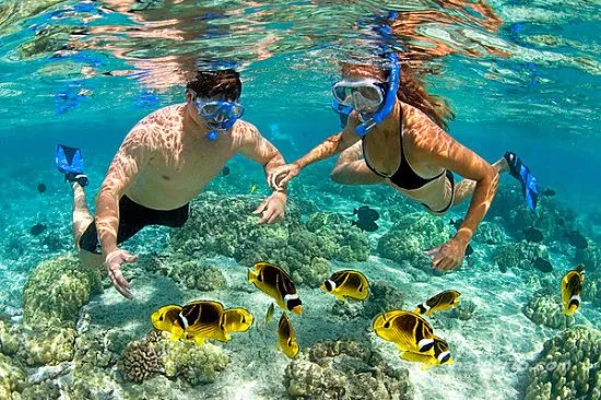 Lặn biển ngắm san hô tại Cù Lao Chàm . Hãy đến với đà nẵng để được trãi nghiệm . lh: 01282820993 - Ảnh của Cù Lao Chàm, Hội An - Tripadvisor