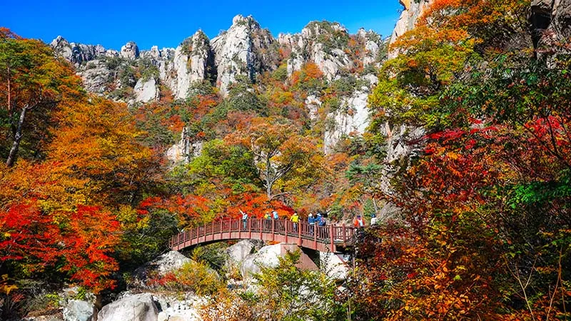 Seasonal Splendor: When to Visit Seoraksan