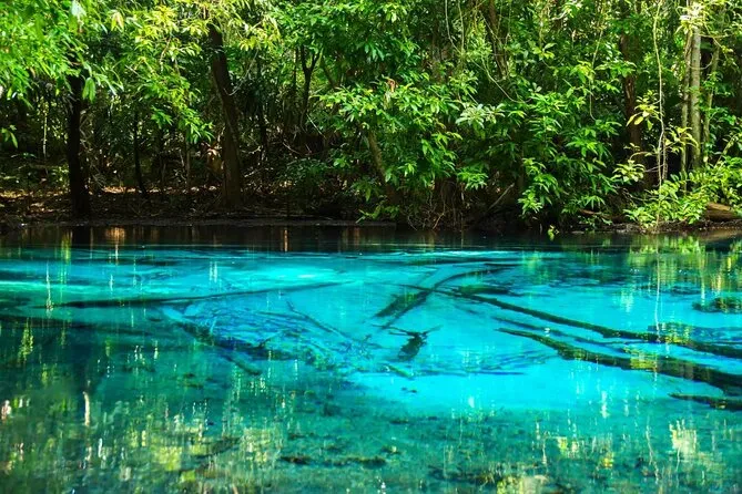 Tickets & Tours - Emerald Pool (Sa Morakot), Krabi - Viator