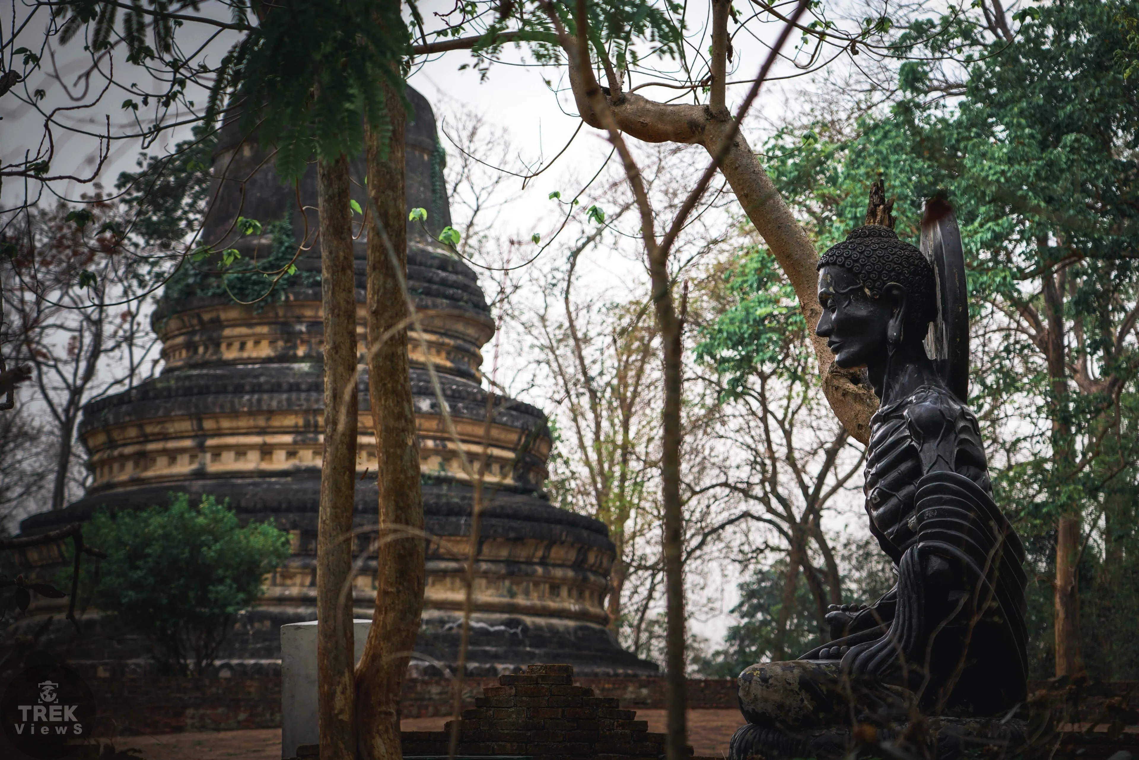 Chùa Wat Umong tại Chiang Mai | Expedia