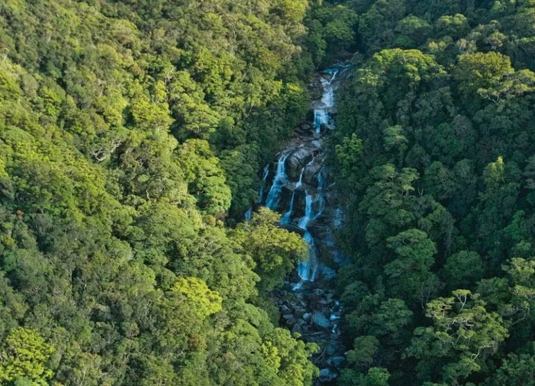 Giới thiệu về Vườn Quốc Gia Daintree