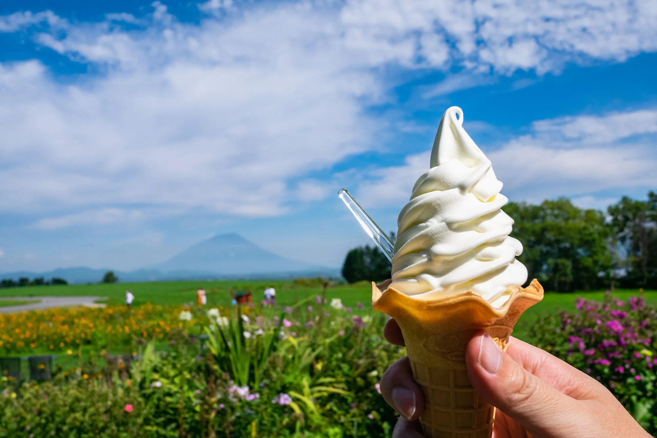Sweet Indulgences: Discovering Hokkaido’s Dairy Delights