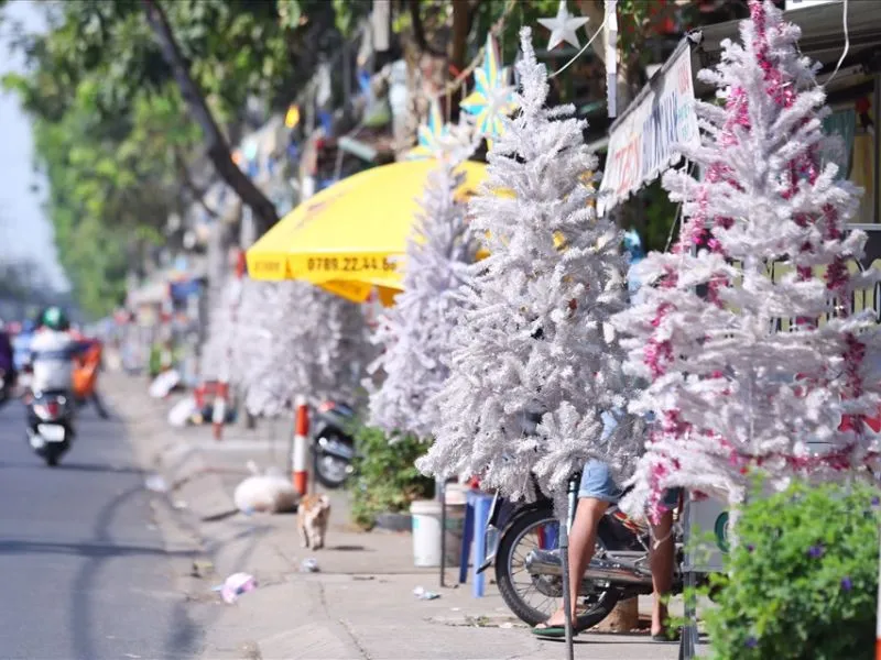 Giới thiệu về hẻm xóm đạo quận 8