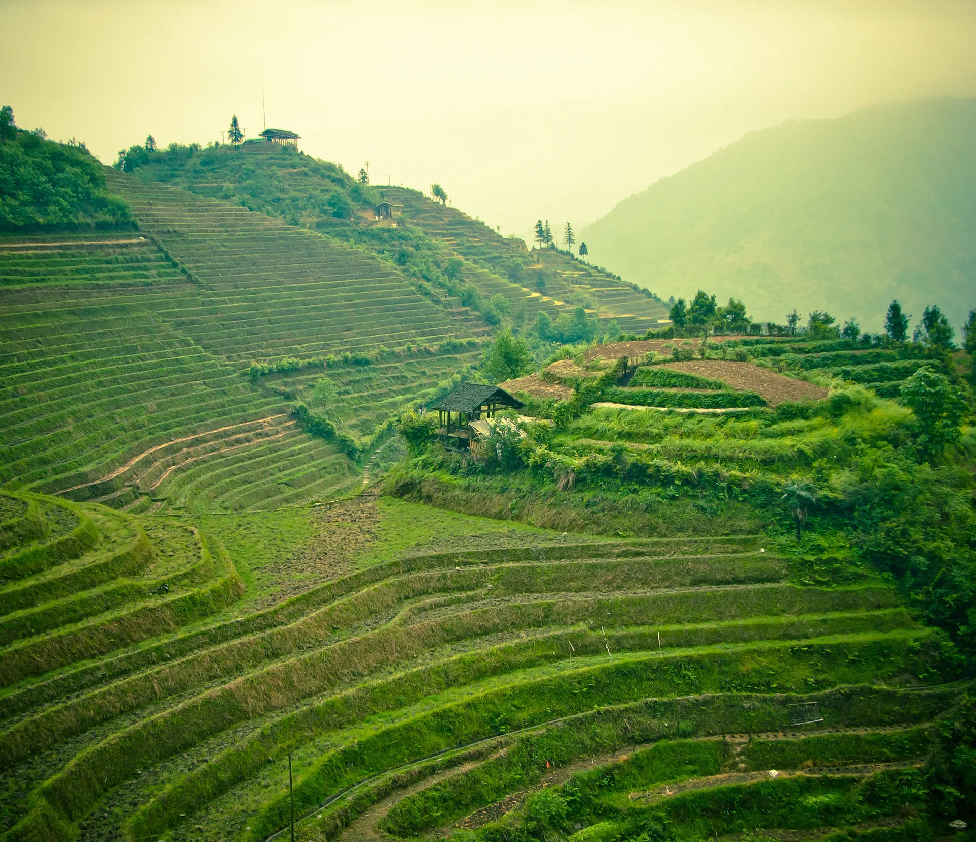 Cultural Riches in the Rice Terraces of Longsheng