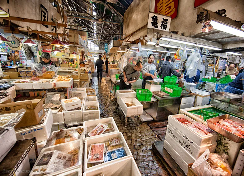 Hướng Dẫn Di Chuyển Đến Chợ Tsukiji