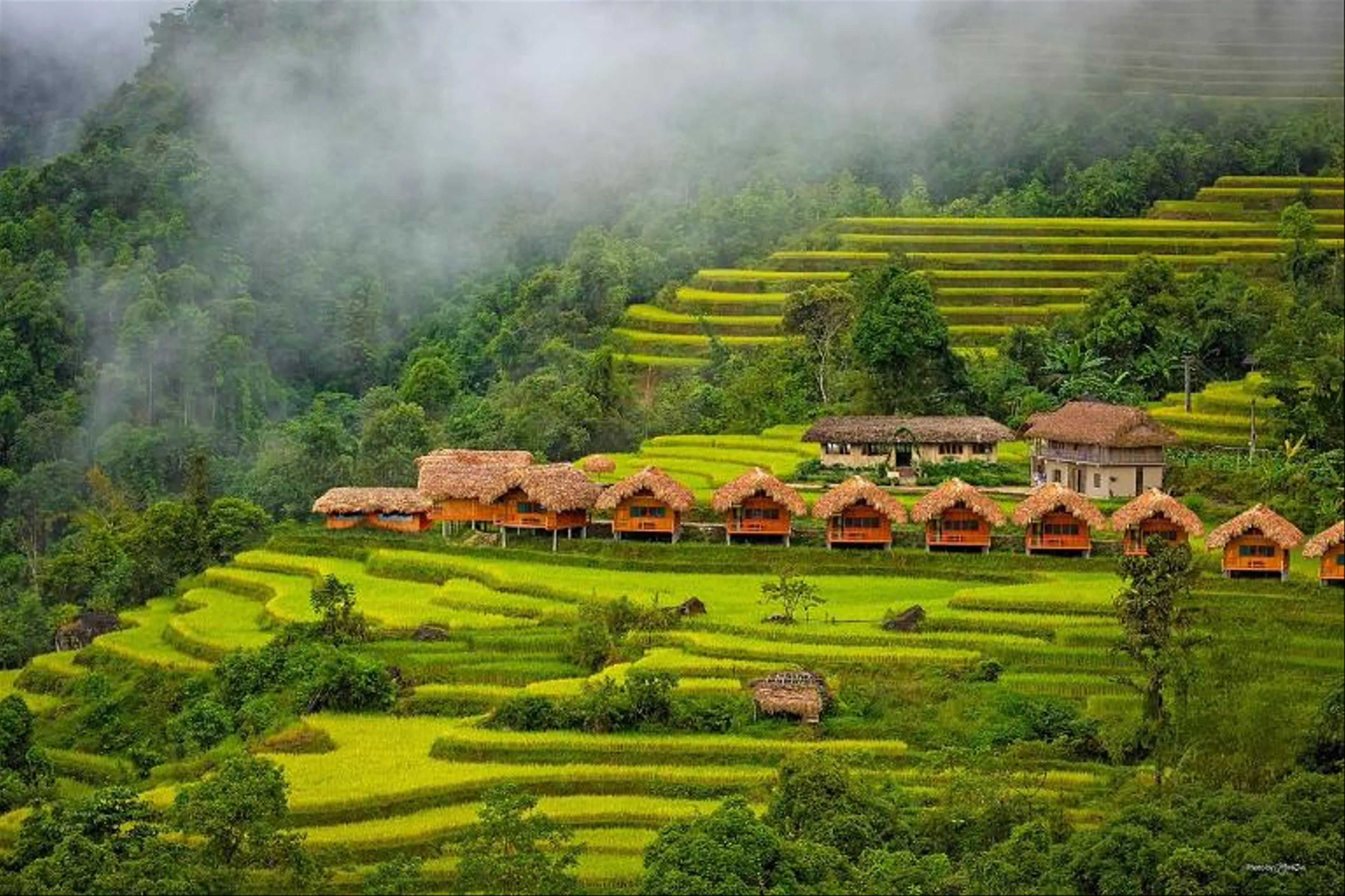 Hidden Ha Giang: Discover the Untamed Beauty of Vietnam's Northernmost Province