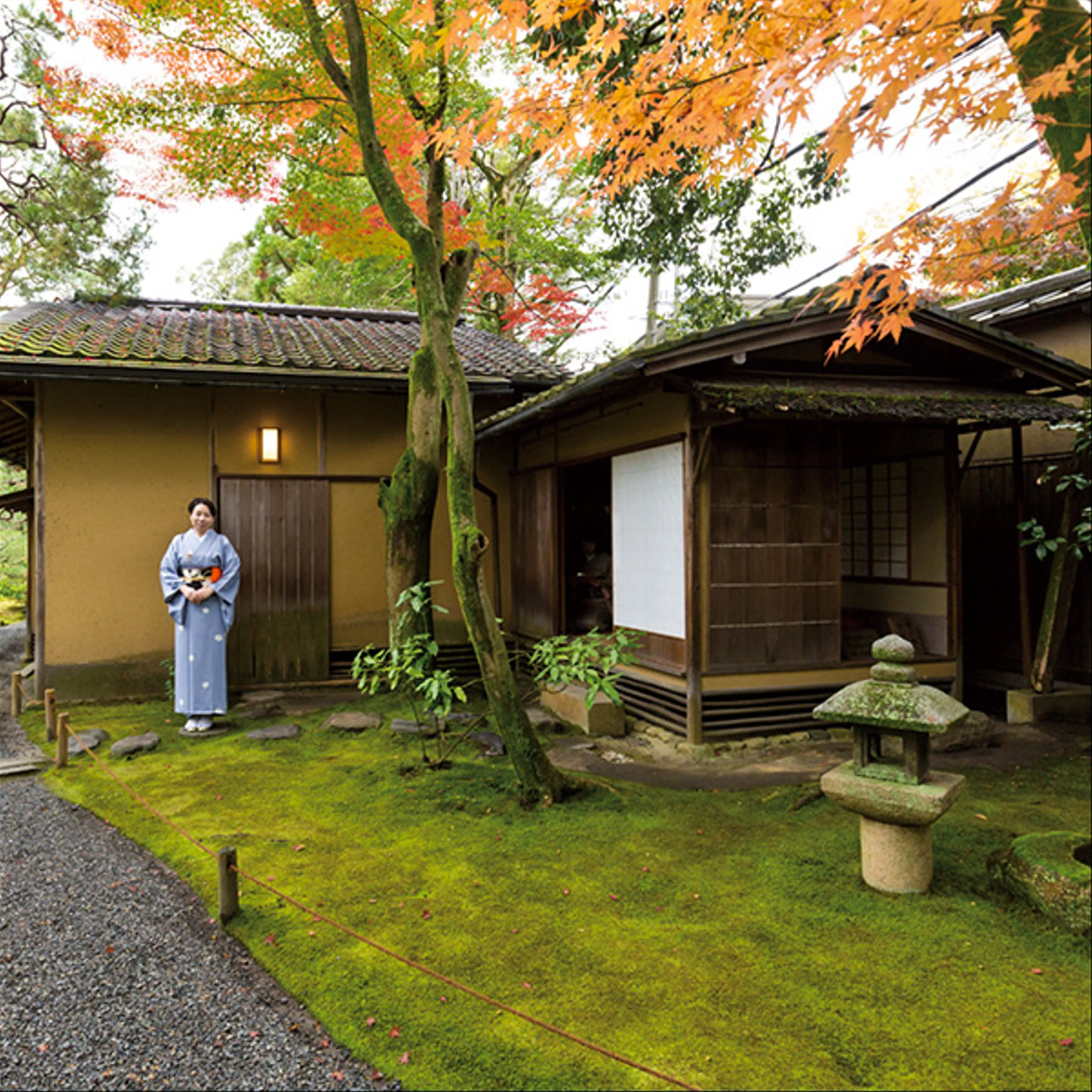 Unveiling Kyoto's Hidden Tea Houses: A Tranquil Escape from the Crowds