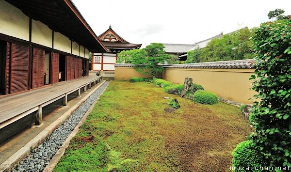 The Garden's Design and Aesthetic Principles