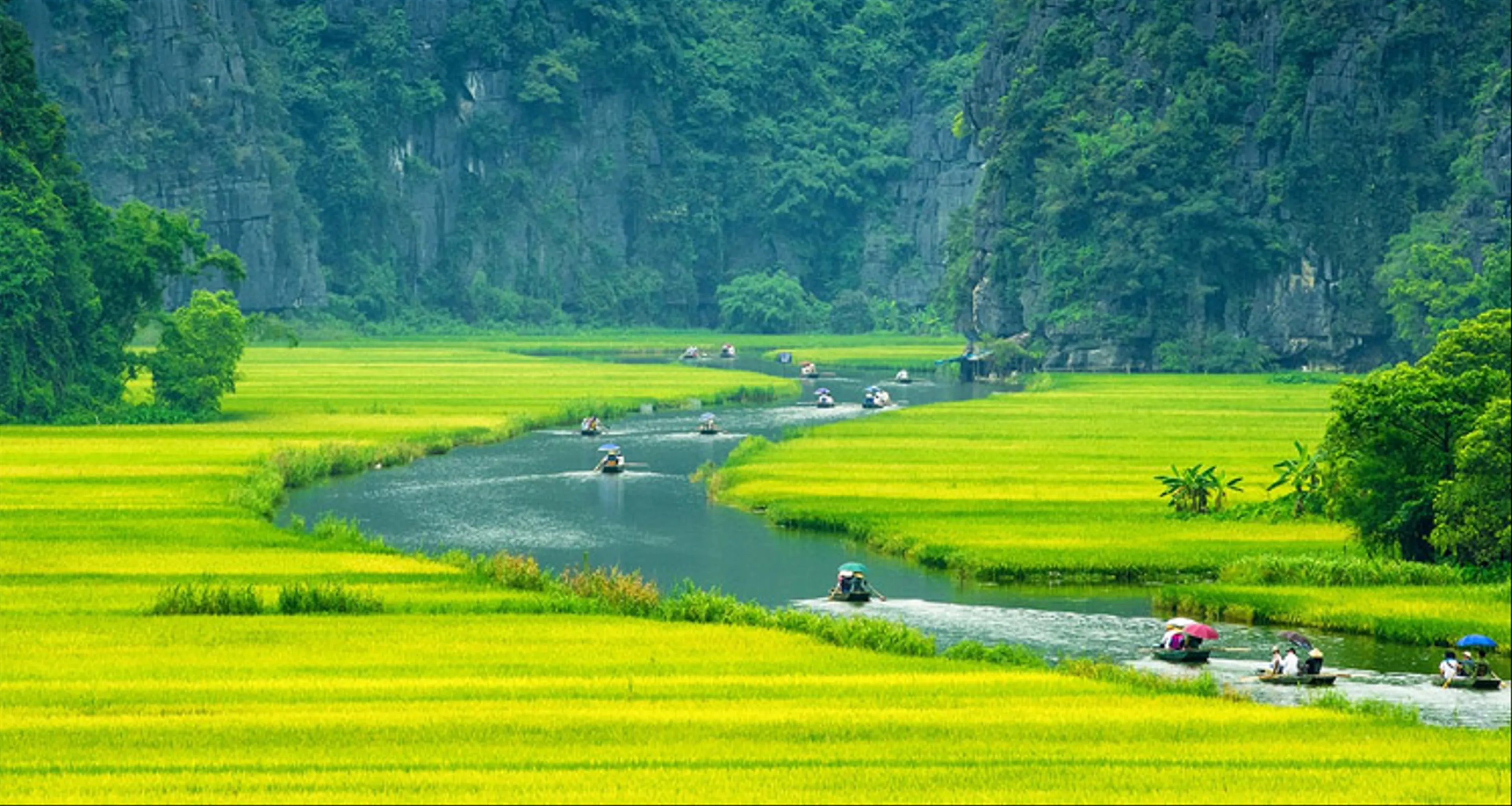 Thả Hồn Trên Dòng Sông Ngô Đồng Bình Yên Tại Ninh Bình