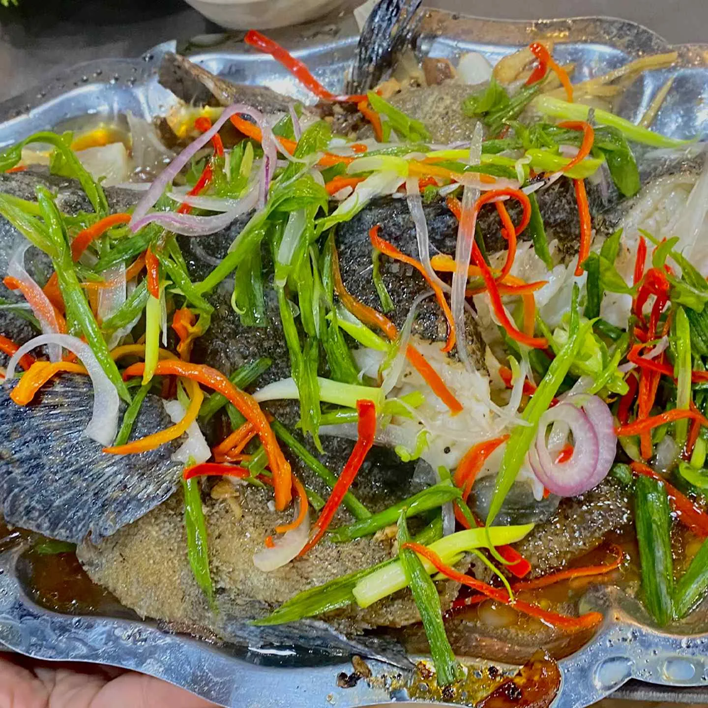 Cá Mú Hấp Xì Dầu