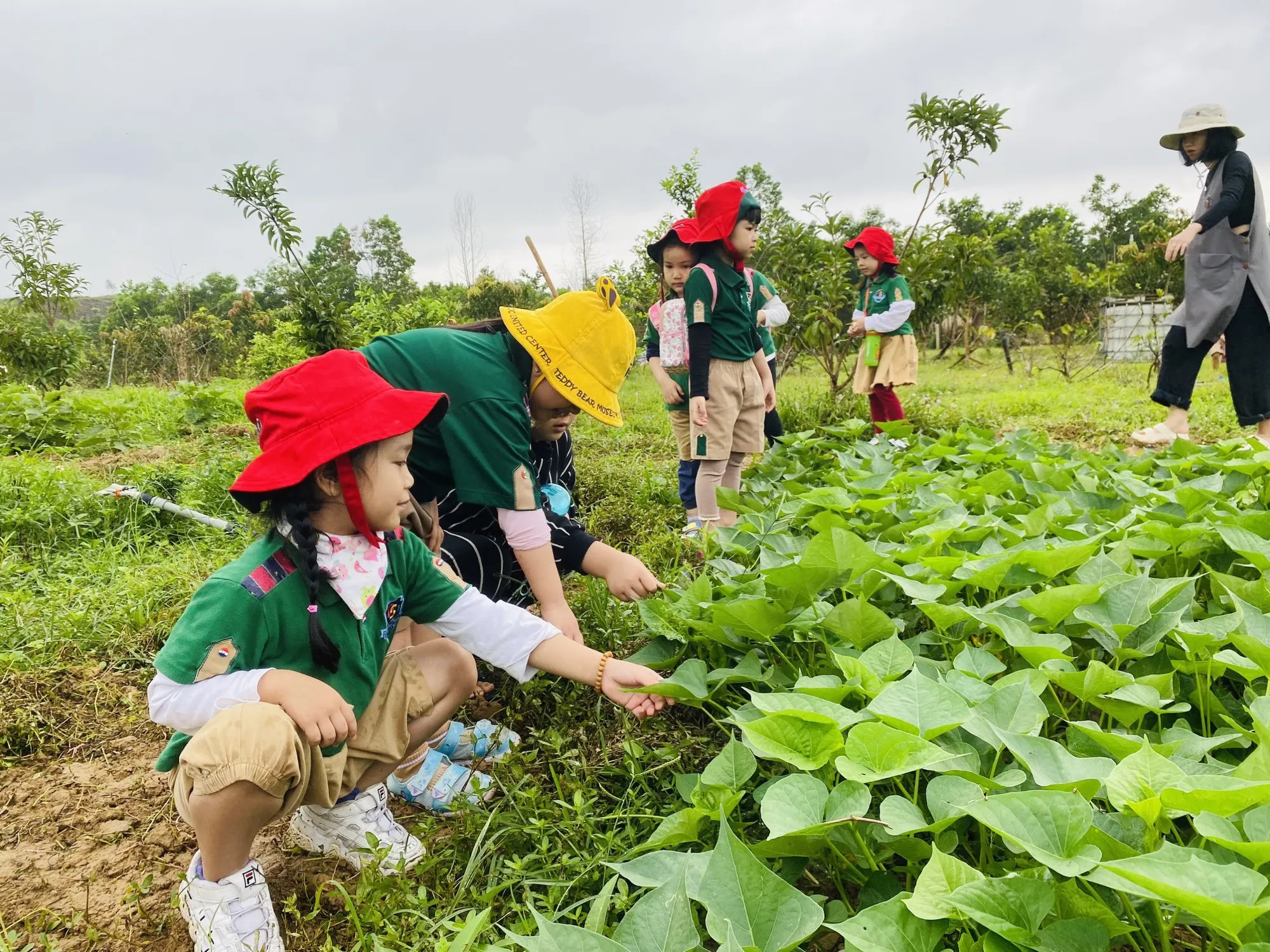 Hoạt động tham quan và trải nghiệm thú vị