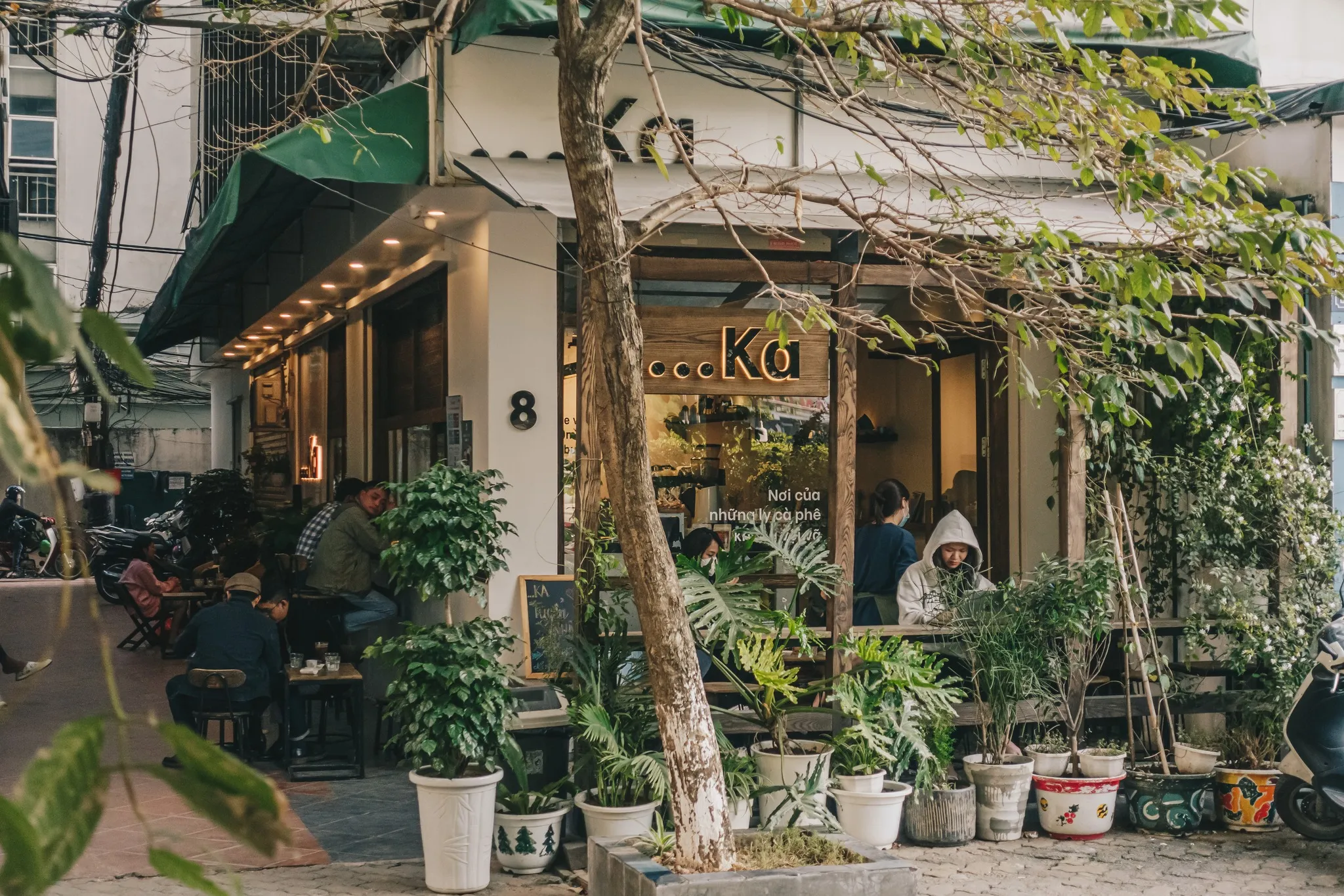 Always Cafe: Góc Nhỏ Yên Bình Giữa Lòng Phố Cổ