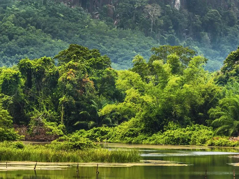 Ghé thăm vườn quốc gia Khao Yai Thái Lan