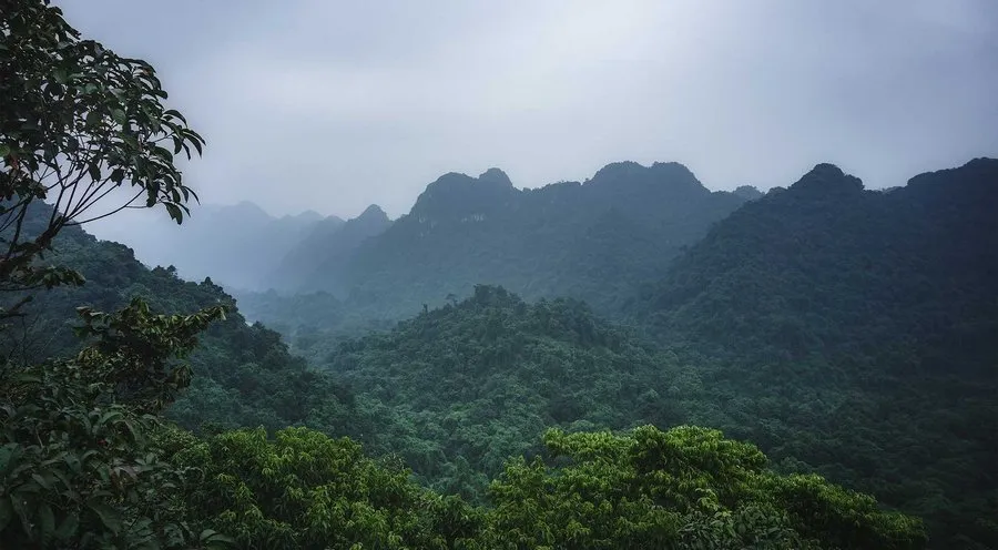 Ẩm thực địa phương khi tham quan rừng Cúc Phương