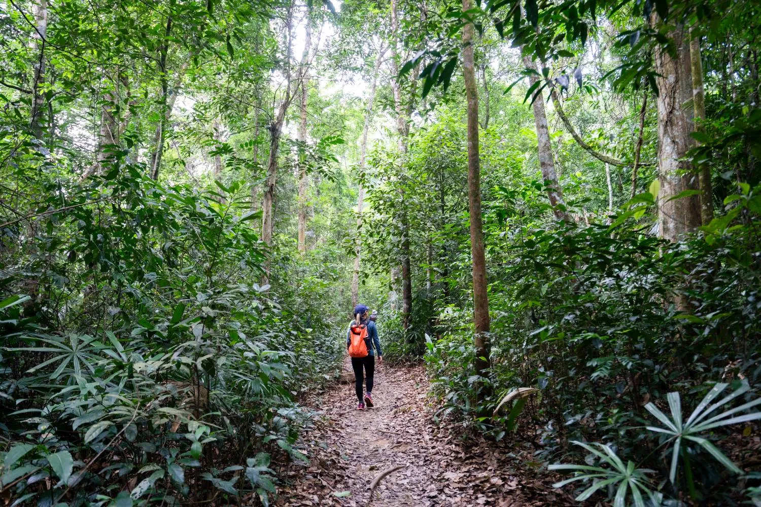 Những cung đường trekking nổi bật